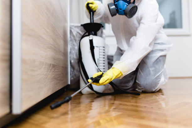 Best Affordable Pest Control Services  in Lockhart, FL