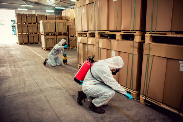 Best Emergency Pest Control  in Lockhart, FL
