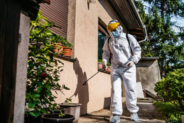 Best Termite Control Services  in Lockhart, FL