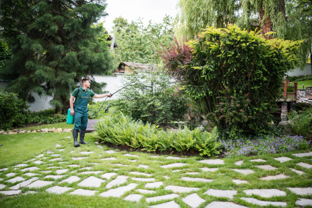 Best Local Pest Control Services  in Lockhart, FL