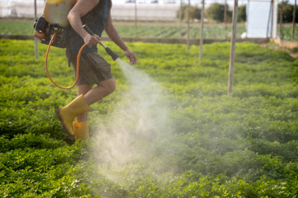 Reliable Lockhart, FL Pest Control Solutions