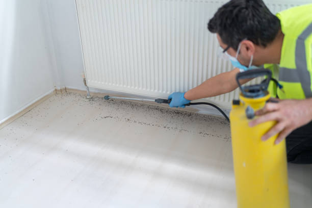 Best Best Pest Control Companies  in Lockhart, FL